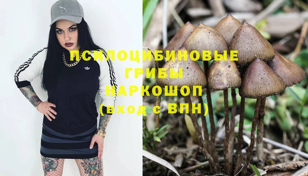 прущий лед Алексин