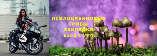 МДПВ Абдулино