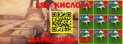 шишки Аргун