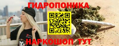 шишки Аргун