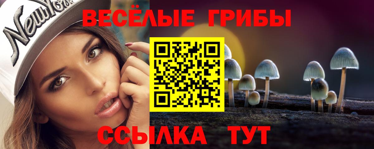 Галлюциногенные грибы мухоморы Батайск